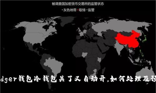 Ledger钱包冷钱包关了又自动开,如何处理及预防