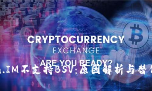 Token.IM不支持BSV:原因解析与替代方案