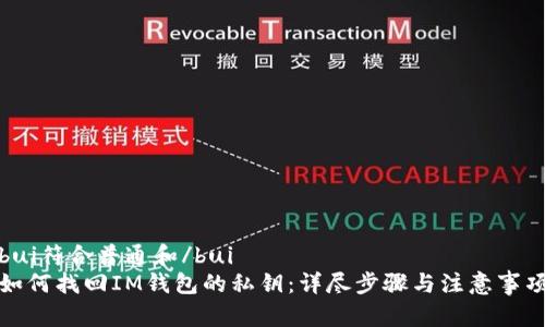 bui符合普通和/bui
如何找回IM钱包的私钥:详尽步骤与注意事项