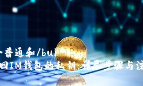 bui符合普通和/bui
如何找回IM钱包的私钥:详尽步骤与注意事项