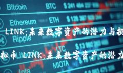 虚拟币 LINK：未来数字资产
