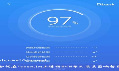 bianwei/bianwei
如何在Token.im上进行BCH分叉及其影响解析