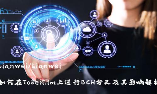 bianwei/bianwei
如何在Token.im上进行BCH分叉及其影响解析