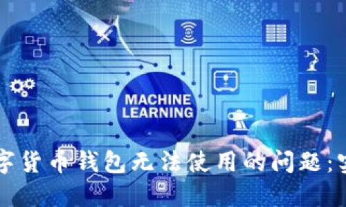 应对数字货币钱包无法使用的问题:实用指南