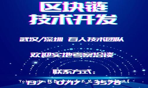 Token.im钱包中的币不见了如何解决?
