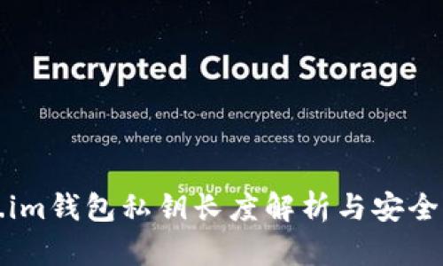 Token.im钱包私钥长度解析与安全性分析