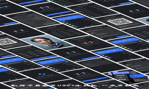 如何下载安装USDT冷钱包:一步步指南