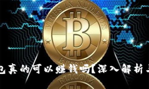 区块链钱包真的可以赚钱吗?深入解析与投资策略