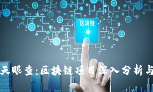 token.im天眼查:区块链项目深入分析与风险评估