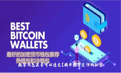 数字钱包是否可以透支?揭开数字支付的秘密