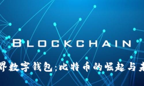 世界数字钱包:比特币的崛起与未来