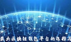 国外最大区块链钱包平台