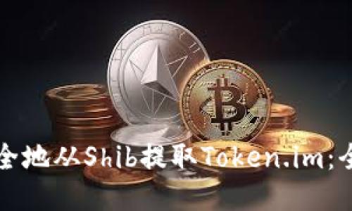 如何安全地从Shib提取Token.im:全面指南