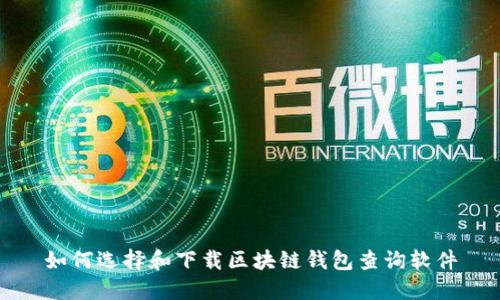 如何选择和下载区块链钱包查询软件