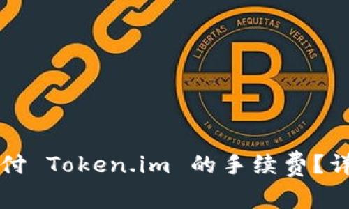如何支付 Token.im 的手续费?详尽指南