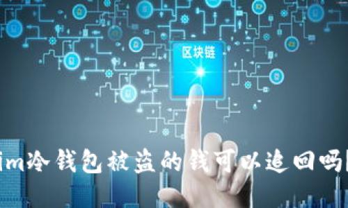 im冷钱包被盗的钱可以追回吗?