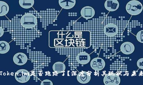 Token.im是否跑路了?深度分析其现状与未来