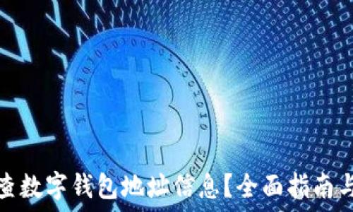   
怎么查数字钱包地址信息？全面指南与技巧