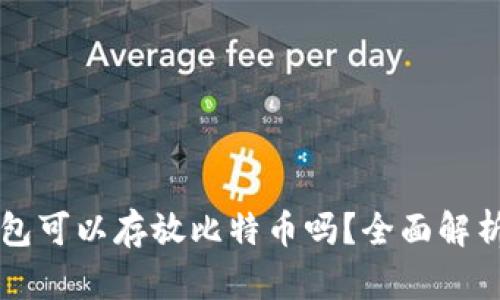 token.im钱包可以存放比特币吗?全面解析及使用指南
