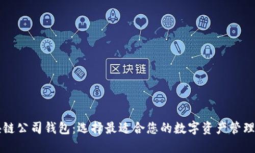 区块链公司钱包:选择最适合您的数字资产管理方案
