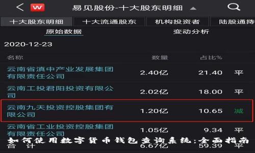 如何使用数字货币钱包查询系统:全面指南