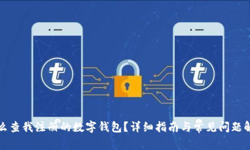 怎么查我注册的数字钱包?详细指南与常见问题解答
