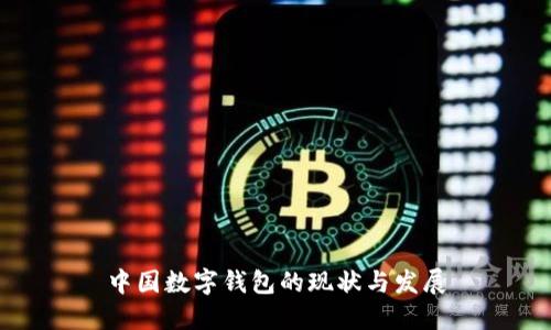 中国数字钱包的现状与发展