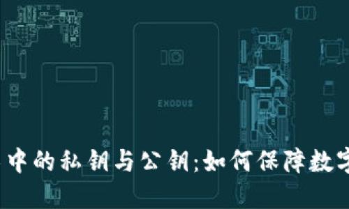 区块链技术中的私钥与公钥:如何保障数字钱包的安全