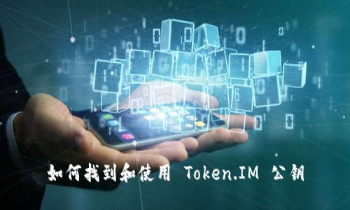 如何找到和使用 Token.IM 公钥