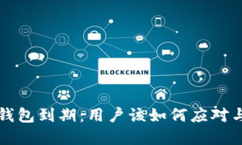 Token.im钱包到期:用户该如何应对与解决方案