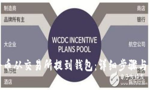 : 如何将币从交易所提到钱包：详细步骤与注意事项