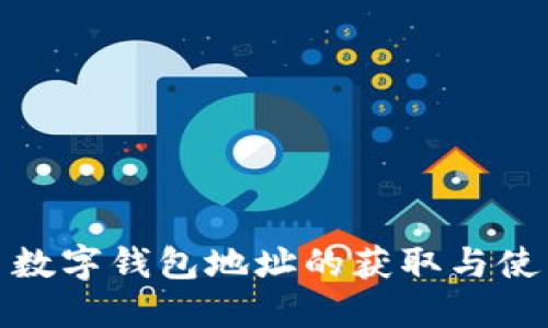 : 中币数字钱包地址的获取与使用指南