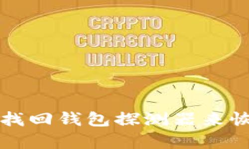 如何使用区块链找回钱包探测器来恢复加密货币资产