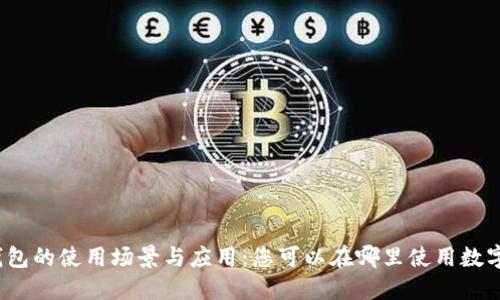 数字钱包的使用场景与应用:您可以在哪里使用数字钱包?