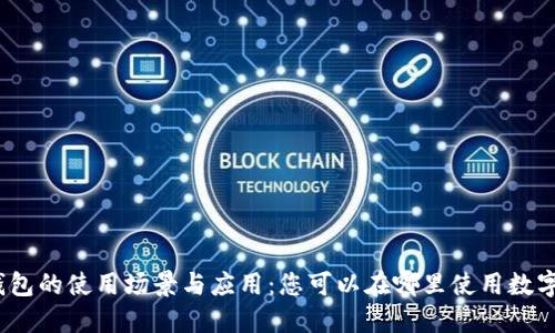 数字钱包的使用场景与应用:您可以在哪里使用数字钱包?