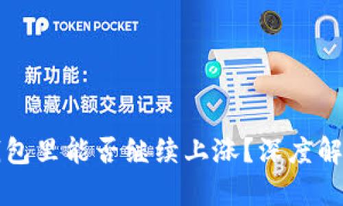 虚拟币放在钱包里能否继续上涨?深度解析与投资策略